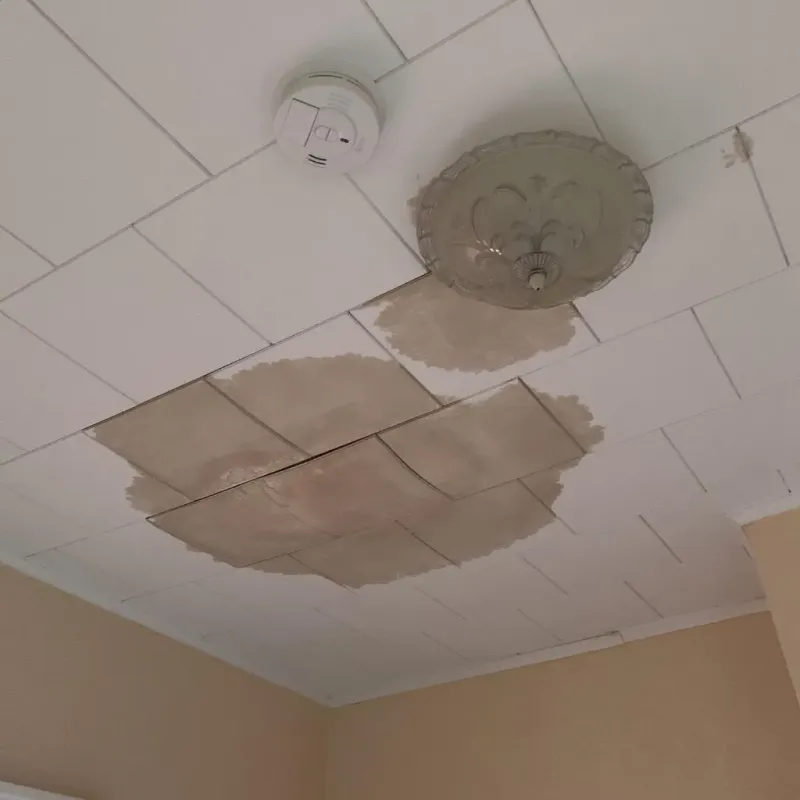 Ceiling Water Damage Repair in Parshall, ND