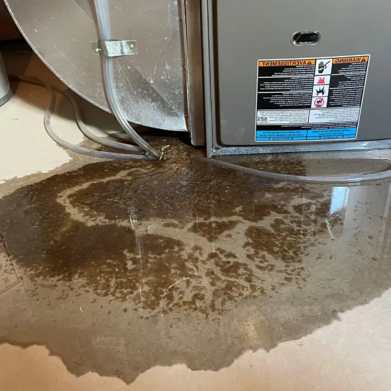 Pipe Burst and Leak Restoration in Parshall, ND