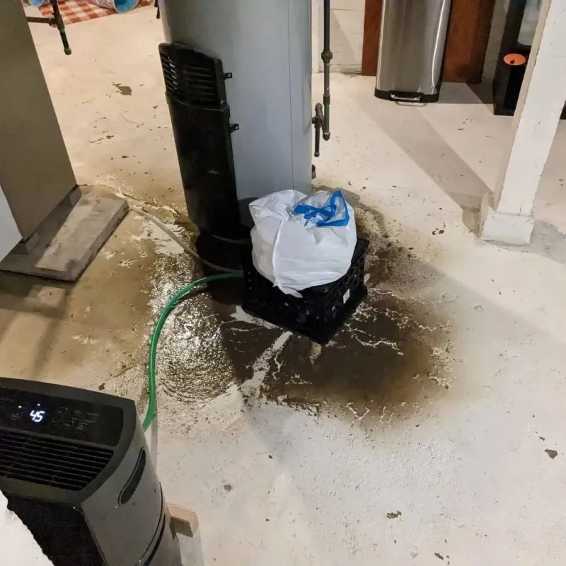 Sewage Backup Cleanup Service in Parshall, ND